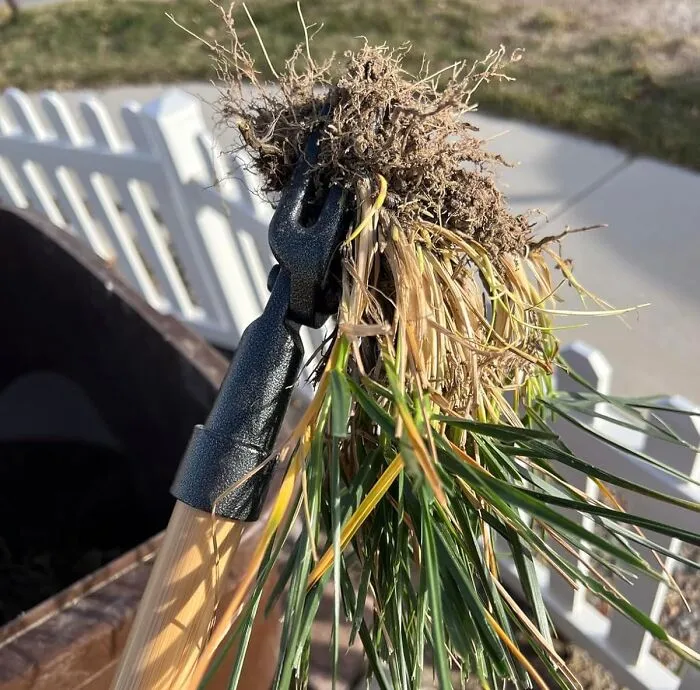 Weed Out The Competition With <a Style="Display:inline;" Href="Https://Www.amazon.com/Grampas-Weeder-Cw-01-Original-Remover/Dp/B001d1ffza?ie=utf8&th=1&linkcode=ll1&tag=bpmoose-20&linkid=d77c8da8633bb8c312dace5337303c9e&language=en_us&ref_=as_li_ss_tl" Target="_blank"><span Style="Font: Inherit; Color: #d74b1f;"> Grampa's Weeder</Span>
