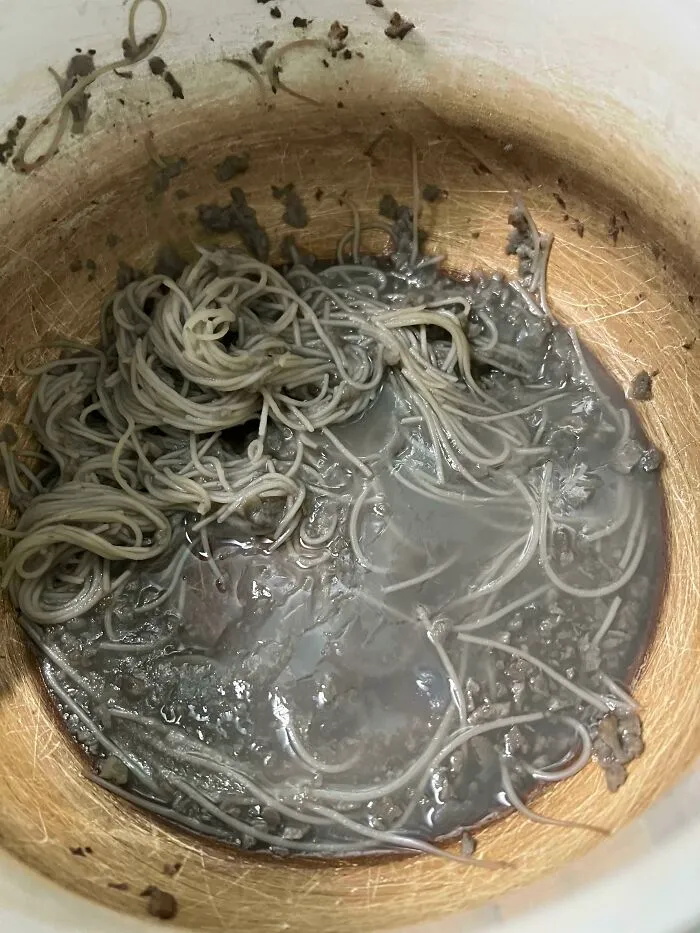 Under A Tight Deadline, I Had To Stop Everything To Post My Wife's Dinner