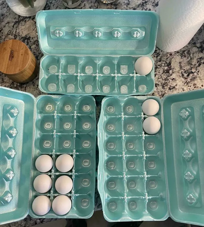 How My Wife Takes Eggs From The Fridge, While Complaining That We’re Running Out Of Room