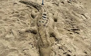 50 Times People Found Quirky Treasures Washed Ashore (New Pics)