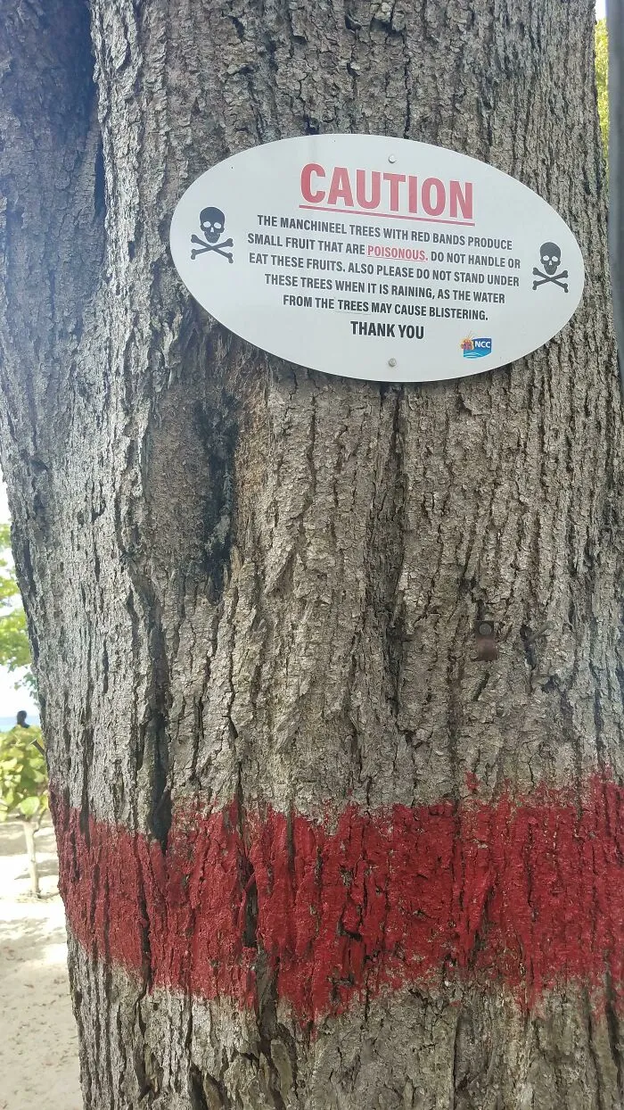 In Barbados