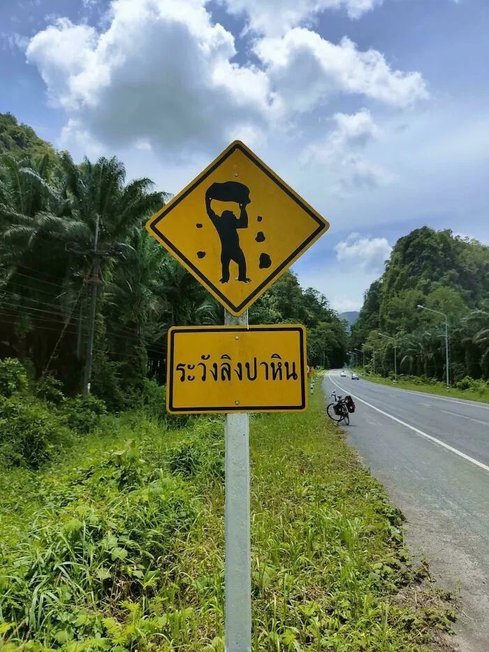 Sign Says "Beware Of Rock Throwing Monkeys"