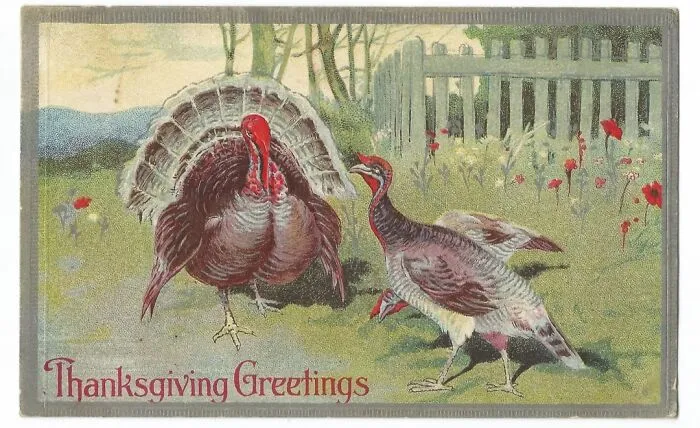 34 Pretty, Amusing And Simply Weird Thanksgiving Postcards From The Past