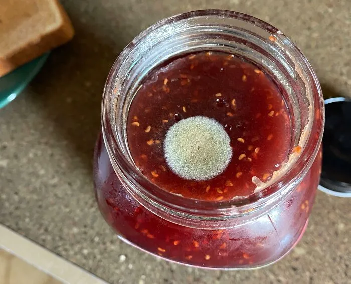 Mold growing on raspberry jam, representing irritating things.