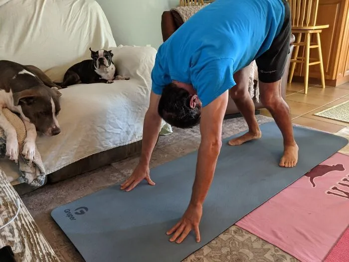Get A Grip On Sustainability With The <a Style="Display:inline;" Href="Https://Www.amazon.com/Gruper-Friendly-Exercise-Carrying-Exercises/Dp/B07h4fsgcx?ie=utf8&th=1&linkcode=ll1&tag=bpcorgi-20&linkid=94ee877aa92d30136226b9764d91c8fd&language=en_us&ref_=as_li_ss_tl" Target="_blank"><span Style="Font: Inherit; Color: #d74b1f;"> Eco Friendly, Non-Slip Yoga Mat</Span>!