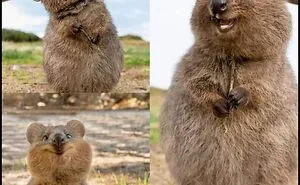 50 Wholesome “Eye Bleach” Pics To Cleanse Your Eyes From The Horrors Of The Internet