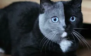 50 Wholesome “Eye Bleach” Pics To Cleanse Your Eyes From The Horrors Of The Internet
