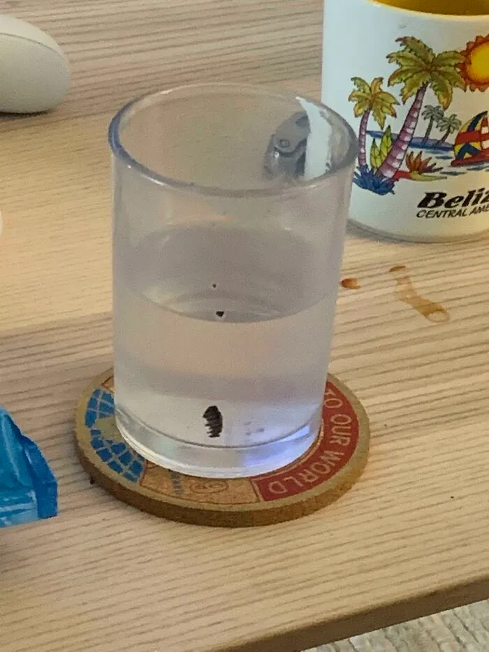 En lugar de enjuagar su taza cada vez que bebe, mi novio la rellena con lo que sea porque «se le mezcla en el estómago». En la foto está su vaso de «agua» después de leche y Oreos
