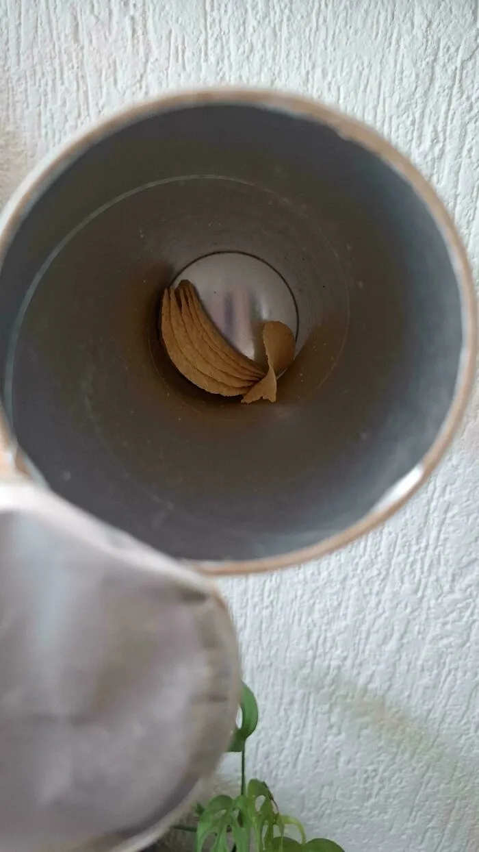 Le pido a mi novio que no vacíe toda la lata de Pringles (de mi sabor favorito)