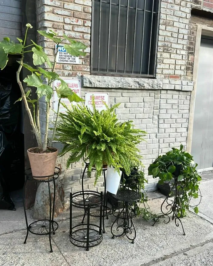One Man’s Trash, Another’s Jackpot: 35 Wild Stooping Discoveries In New York (New Pics)