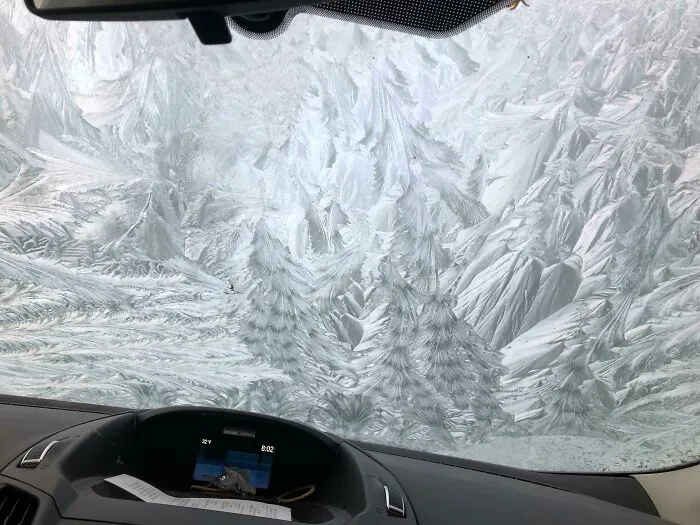 My Windshield Has A Winter Themed Pine Tree Landscape