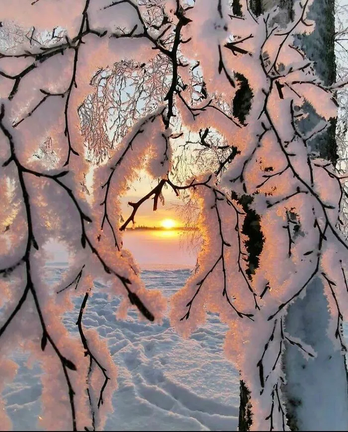 A Winter Frame In Finland