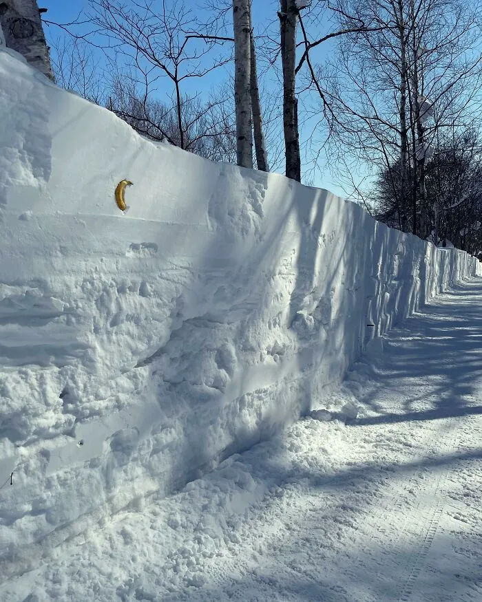 Accumulated Snow Depth Outside My House (Banana For Scale)