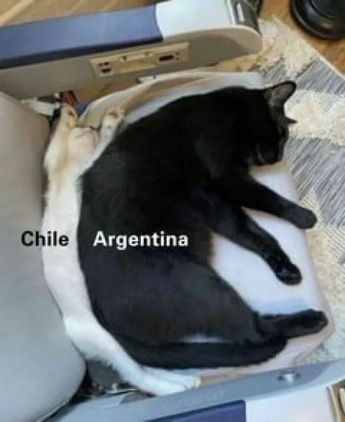 50 Informative Maps People Shared On This Group That Might Change Your Perspective On Things
