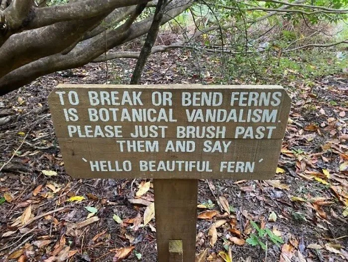 This Insta Page Shares Pics With Zero Context, Here Are 40 Of The Funniest And Weirdest Ones (New Pics)