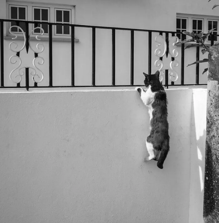 The Marvels Of Daily Life Captured In 49 Stunning Photos By Mary Crnkovic Pilas