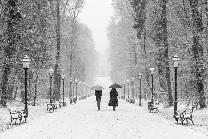 The Marvels Of Daily Life Captured In 49 Stunning Photos By Mary Crnkovic Pilas