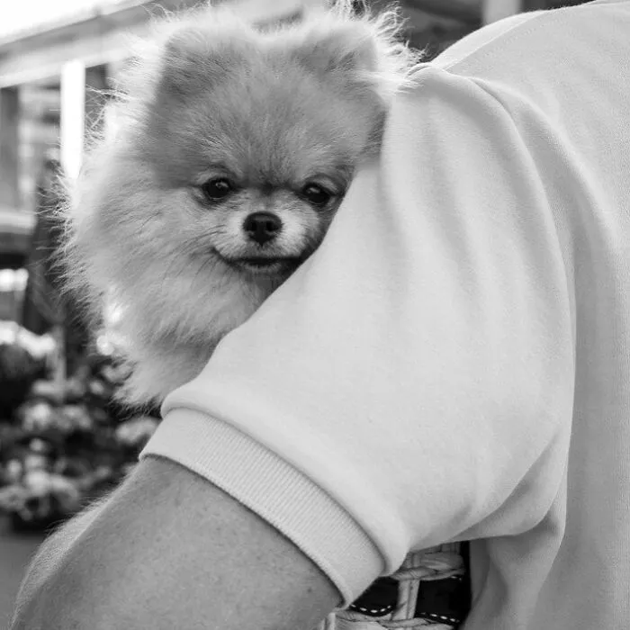 The Marvels Of Daily Life Captured In 49 Stunning Photos By Mary Crnkovic Pilas