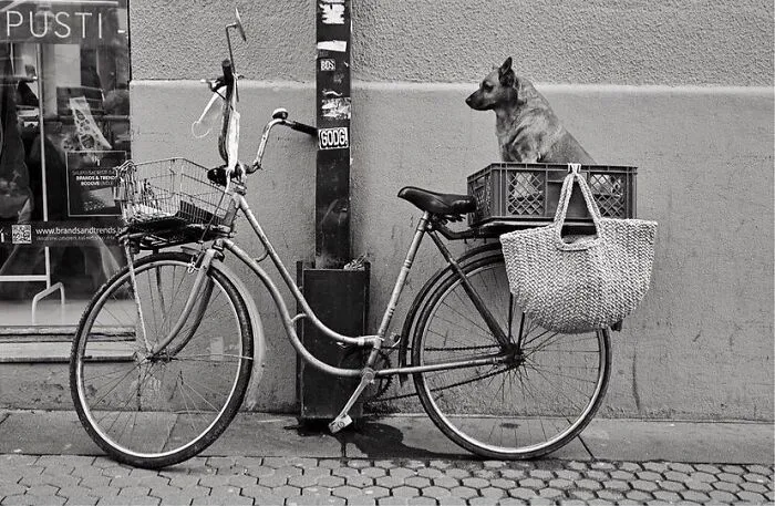 The Marvels Of Daily Life Captured In 49 Stunning Photos By Mary Crnkovic Pilas