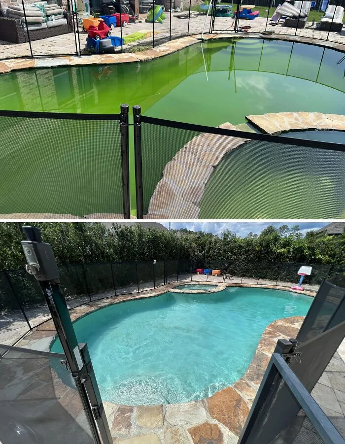 Before-after-cleaning-pictures showing a pool transformation from green and murky to clear and inviting.