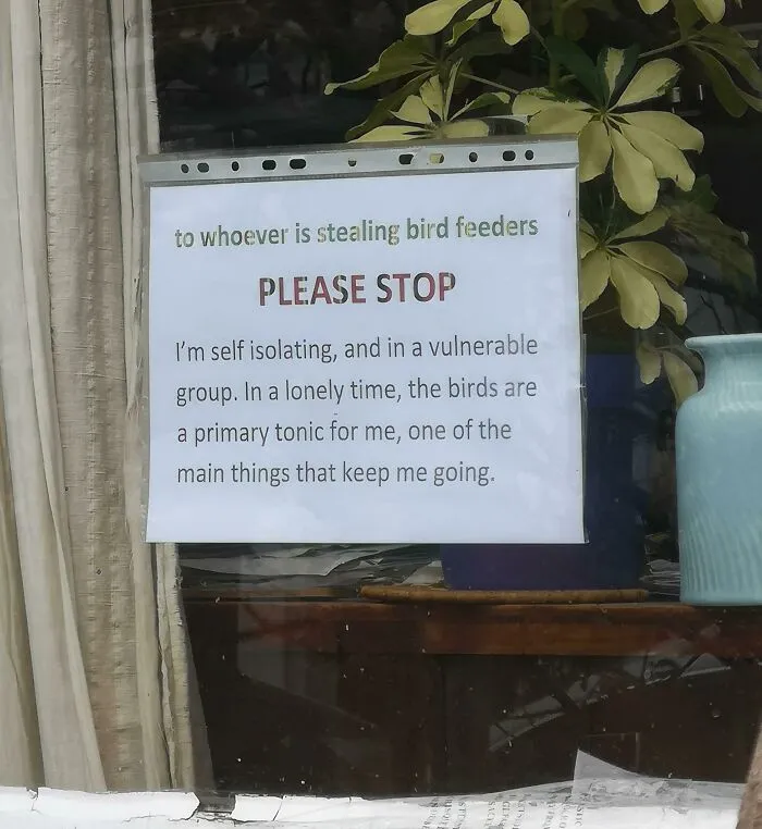 Stealing From A Self-Isolating, Vulnerable Neighbour