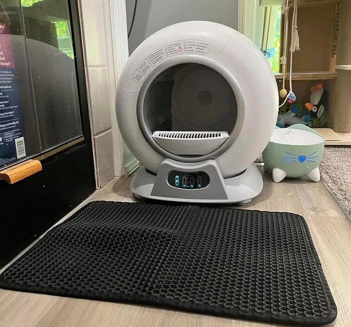 Keep Your Entryway Clean And Fur-Free With The Cat-Tastic <a Style="Display:inline;" Href="Https://Www.amazon.com/Polarduck-Honeycomb-Material-Scatter-Washable/Dp/B08k8l6y3j?ie=utf8&th=1&linkcode=ll1&tag=bpzebra-20&linkid=c29cad0a093b08d7d5bf03470ea79293&language=en_us&ref_=as_li_ss_tl" Target="_blank"><span Style="Font: Inherit; Color: #d74b1f;"> Cat Litter Mat</Span>, Designed To Catch Stray Litter And Keep Your Floors Clean