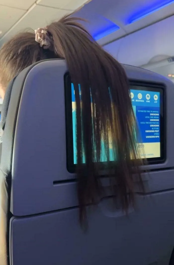 Woman Kept Covering My Screen With Her Hair During A Flight