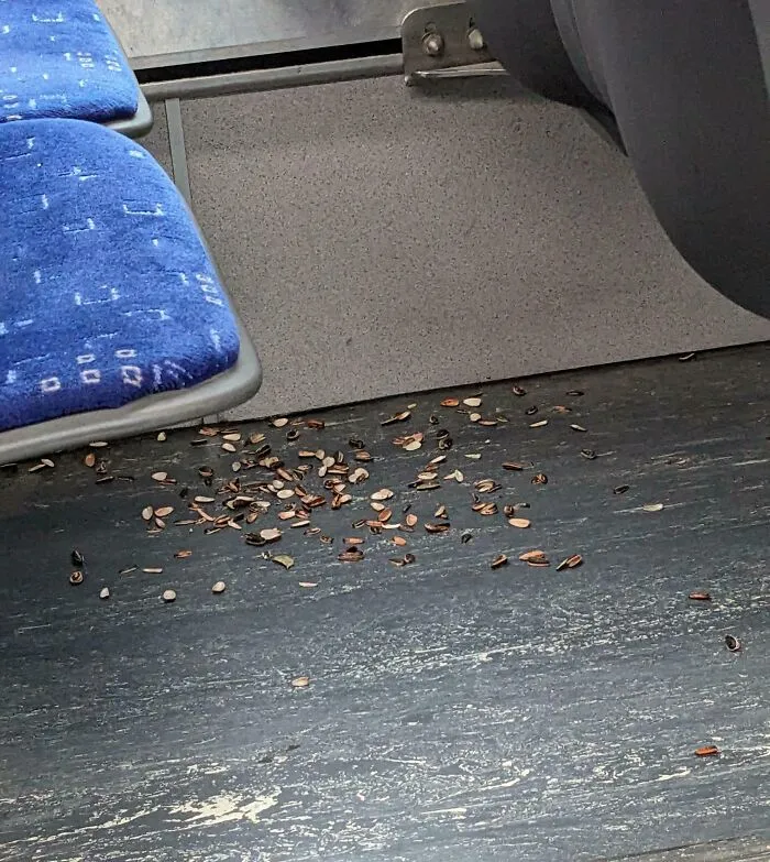 Person Leaves Sunflower Seed Shells All Over Bus Floor. Some People Are So Disrespectful