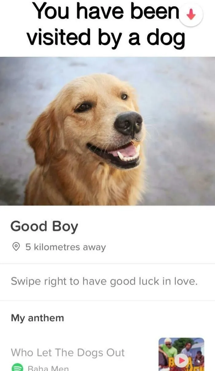 One Of My Better Tinder Matches