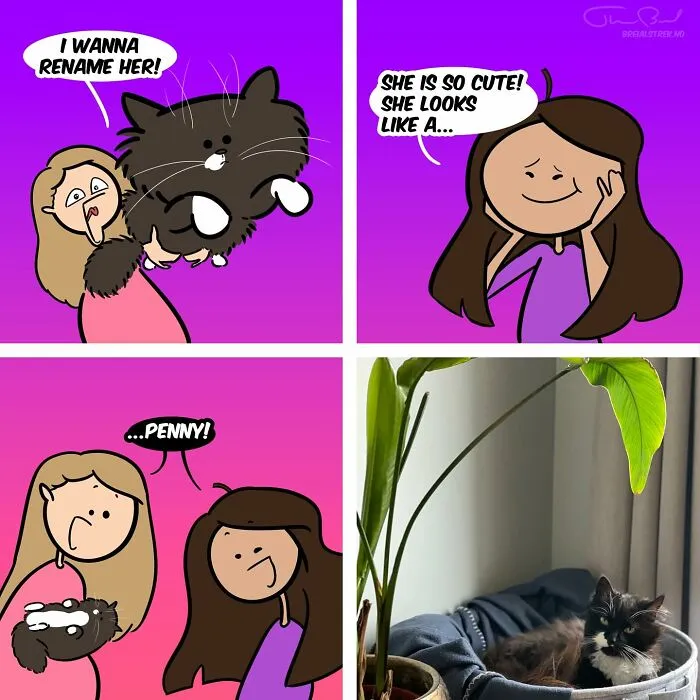 Comic Artist Illustrates Everyday Situations In A Funny Way (42 Pics)