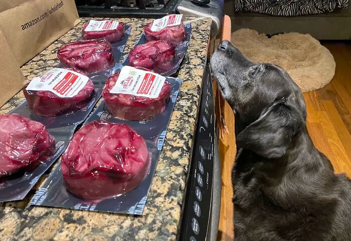 Alli Had A Very Rough Day At The Animal Hospital - My Employer Found Out And Sent Her A Care Package