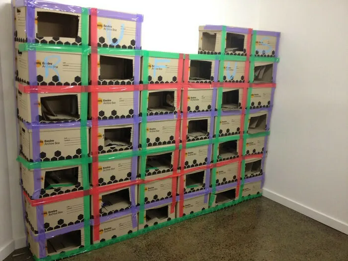 My Brother In-Law Made His Cat A Maze Today From Officework Boxes
