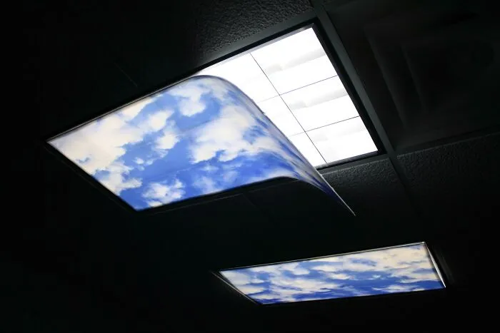 I Jokingly Told My Boss My Basement Level Office Needed A Sky Light. He Made It Happen