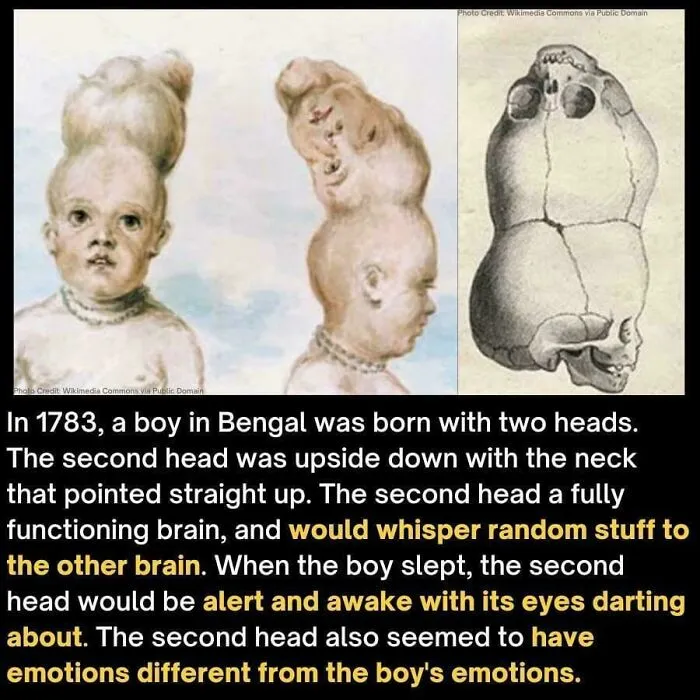Terrifying