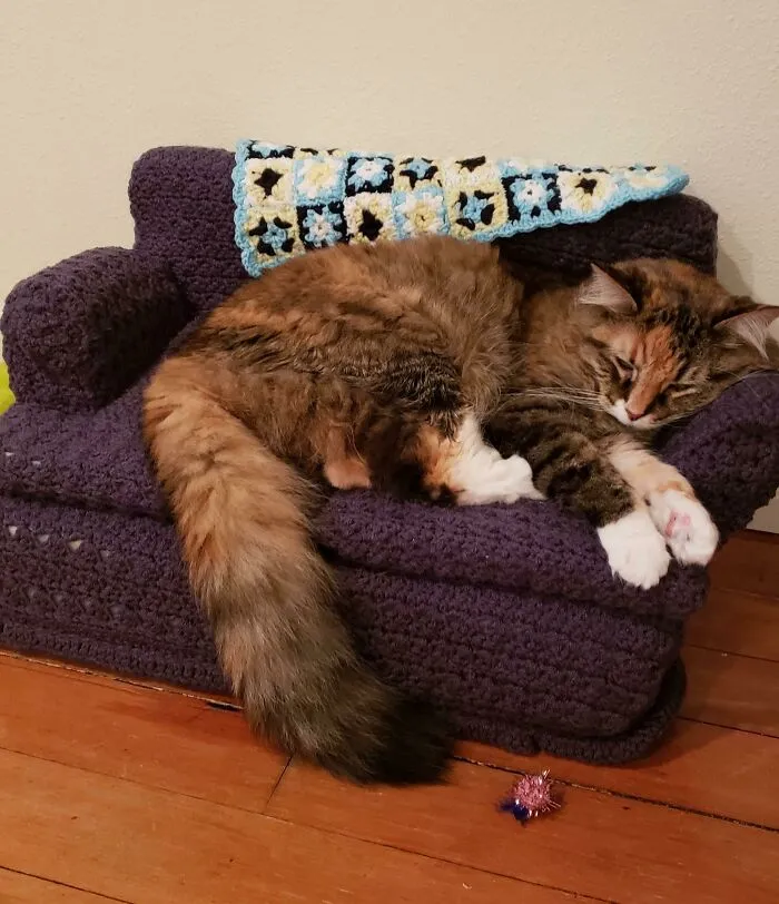 My MIL Crochet My Cat Her Own Couch