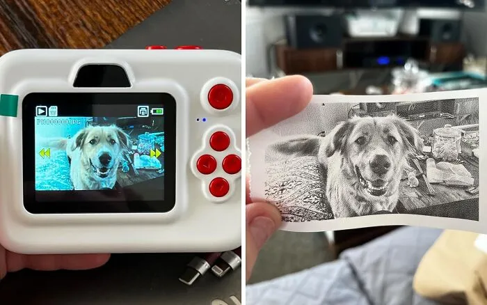 Capture The Moment With This <a Style="Display:inline;" Href="Https://Www.amazon.com/Dylanto-Christmas-Birthday-Portable-Boys-Blue/Dp/B0cqrfsfl6?ie=utf8&linkcode=ll1&tag=bppeacock-20&linkid=af0321666b696b666afe66d9aa027ca0&language=en_us&ref_=as_li_ss_tl" Target="_blank"><span Style="Font: Inherit; Color: #d74b1f;"> Heat Printing Instant Camera</Span> And Get Your Photos In Seconds