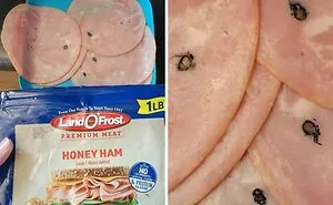 50 Times People Tried To Enjoy Their Food Until They Found Something That Didn’t Belong There (New Pics)