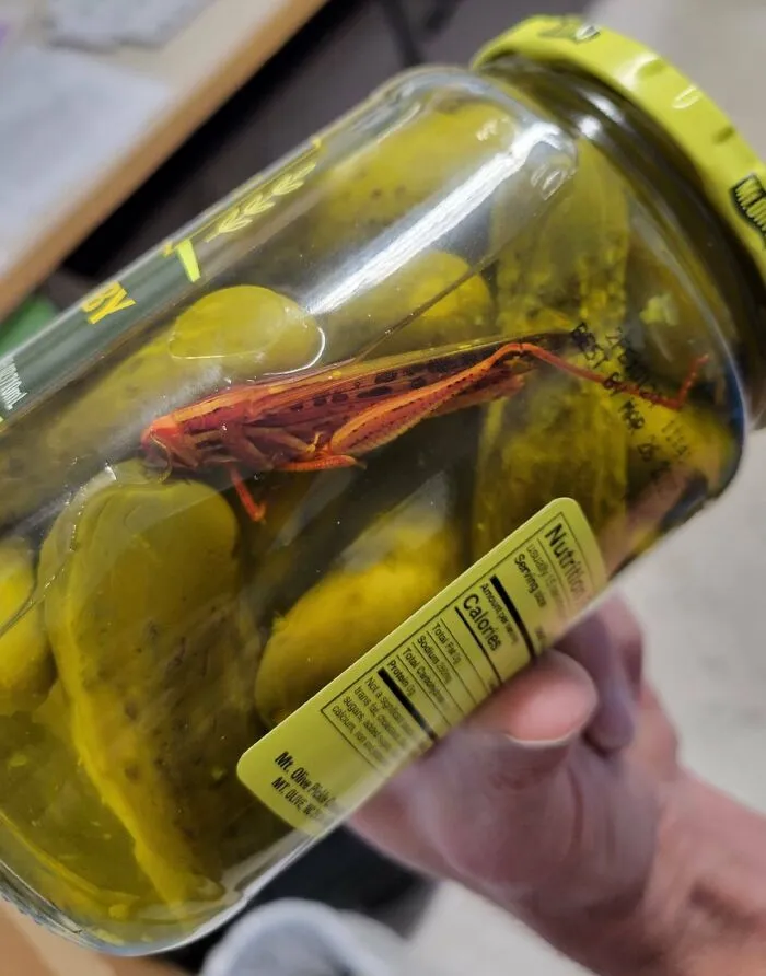 Did Some Maintenance At A Supermarket. They Showed Me A Return They Got Today