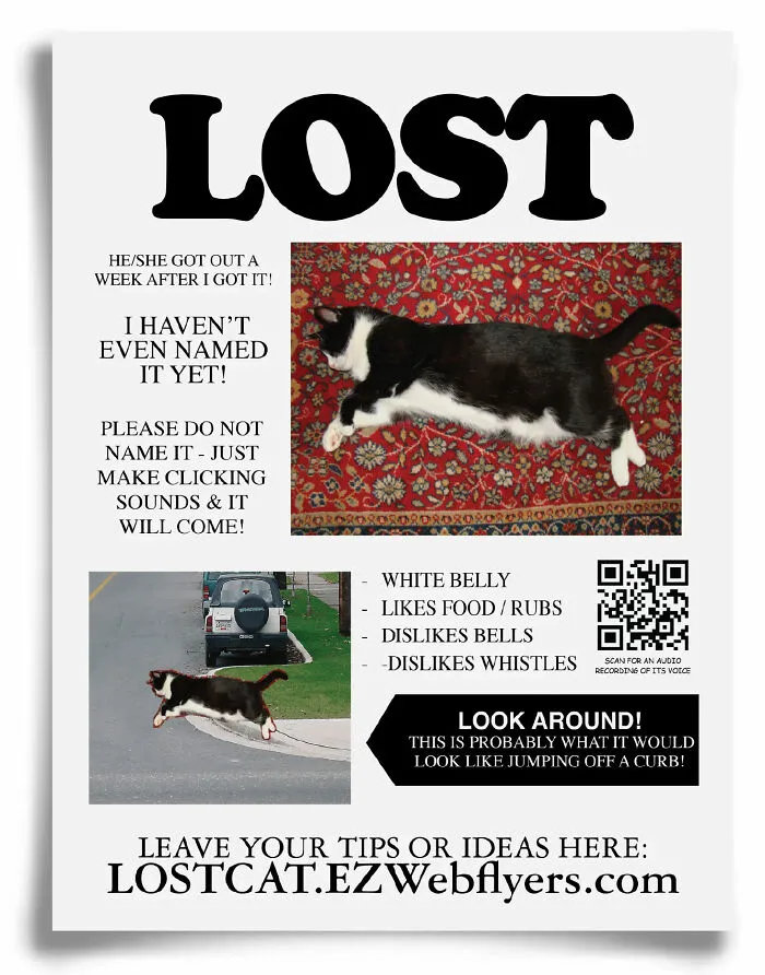 “Prank-O”: These Fake Advertising Flyers Are Too Good To Be Thrown Away (15 New Pics)