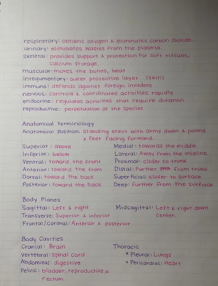 Handwriting