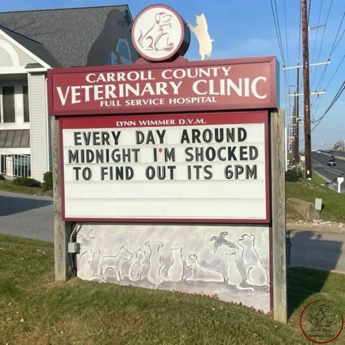 No Fleas, Just Jokes: 40 Signs That Had Tails Wagging (New Pics)
