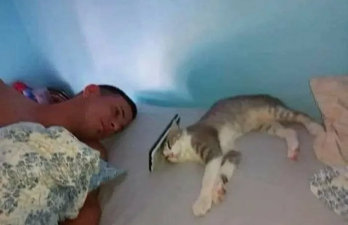 30 Epic Pics That Go Harder Than They Have To (New Pics)