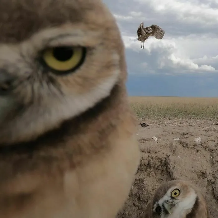 50 Awkward Photos That Are Almost Too Painful To Scroll Through