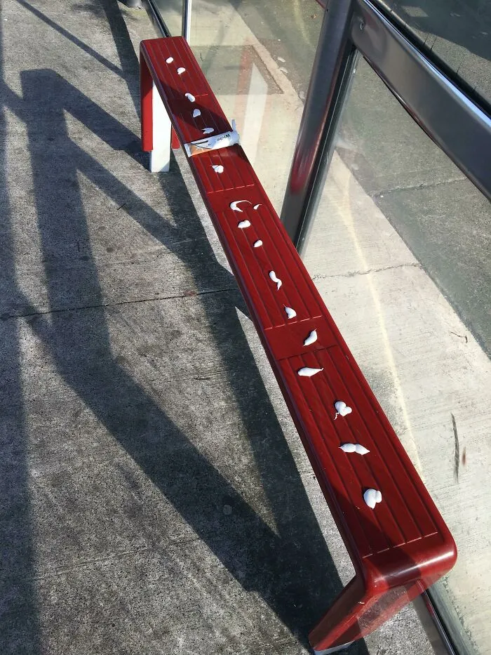 Someone Put Cream On The Seat At The Bus Stop