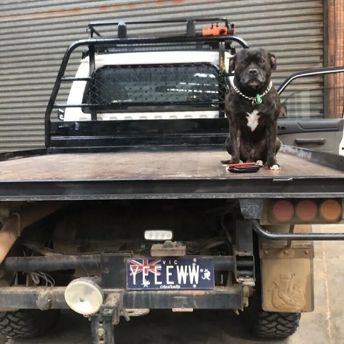 30 "Bogan" License Plates That Vary From Extra Creative To Hilarious And Slightly Cringe