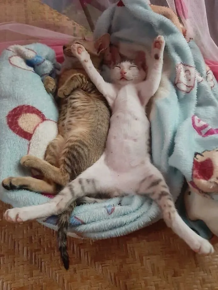 Look At This
