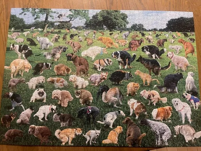 This <a Style="Display:inline;" Href="Https://Www.amazon.com/1000-Piece-Puzzle-Pooping-Puppies/Dp/B08rr1sw1w?ie=utf8&th=1&linkcode=ll1&tag=bporangutan-20&linkid=ac065c5fbece2ebf878e4199ca210899&language=en_us&ref_=as_li_ss_tl" Target="_blank"><span Style="Font: Inherit; Color: #d74b1f;"> Pooping Puppies Puzzle</Span> Is The Perfect Way To Say "I Love You" And "I Secretly Want To See You Gag" At The Same Time