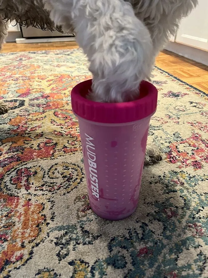 Muddy Paws Got You Down? Clean Up The Mess With A <a Style="Display:inline;" Href="Https://Www.amazon.com/Dexas-Mudbuster-Portable-Cleaner-Medium/Dp/B01n64dcpr?ie=utf8&th=1&linkcode=ll1&tag=bponion-20&linkid=4bb5ae030b3132853c487b5cb27f3e81&language=en_us&ref_=as_li_ss_tl" Target="_blank"><span Style="Font: Inherit; Color: #d74b1f;"> Mudbuster Portable Dog Paw Cleaner</Span>