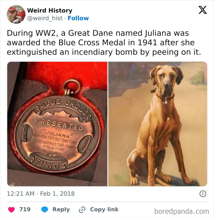 50 ‘Weird History’ Pics That May Rewrite The Narrative Of How You Think The Past Went (Best Of All Time)