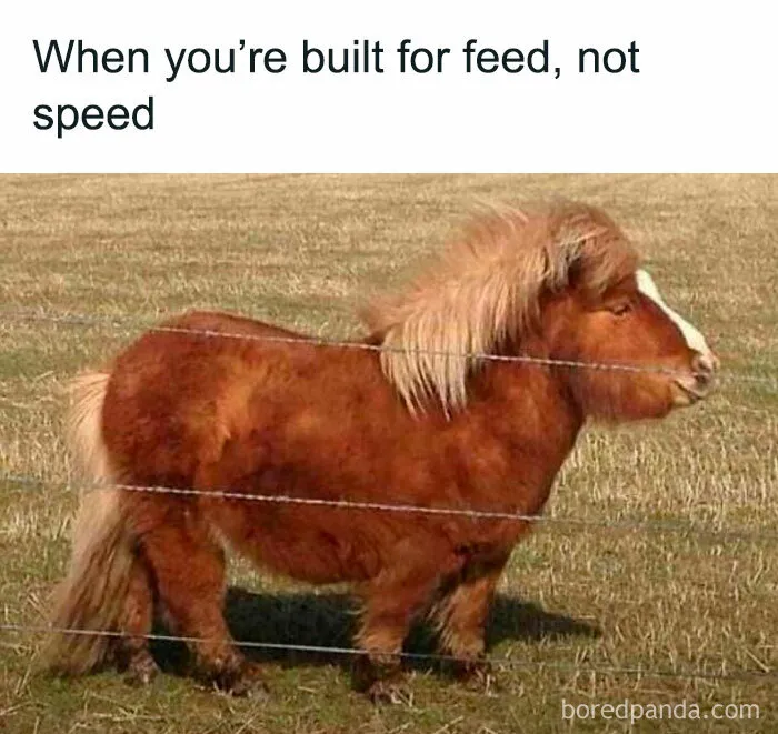 “All Things Memes”: 45 Posts From This IG Page To Entertain The Boredom Away